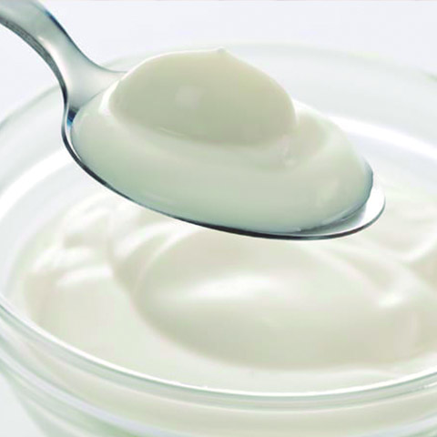 Yogurt