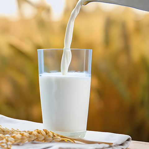 Milk