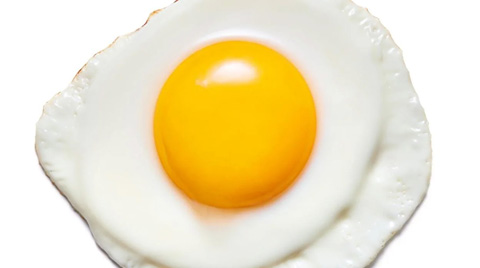 Egg